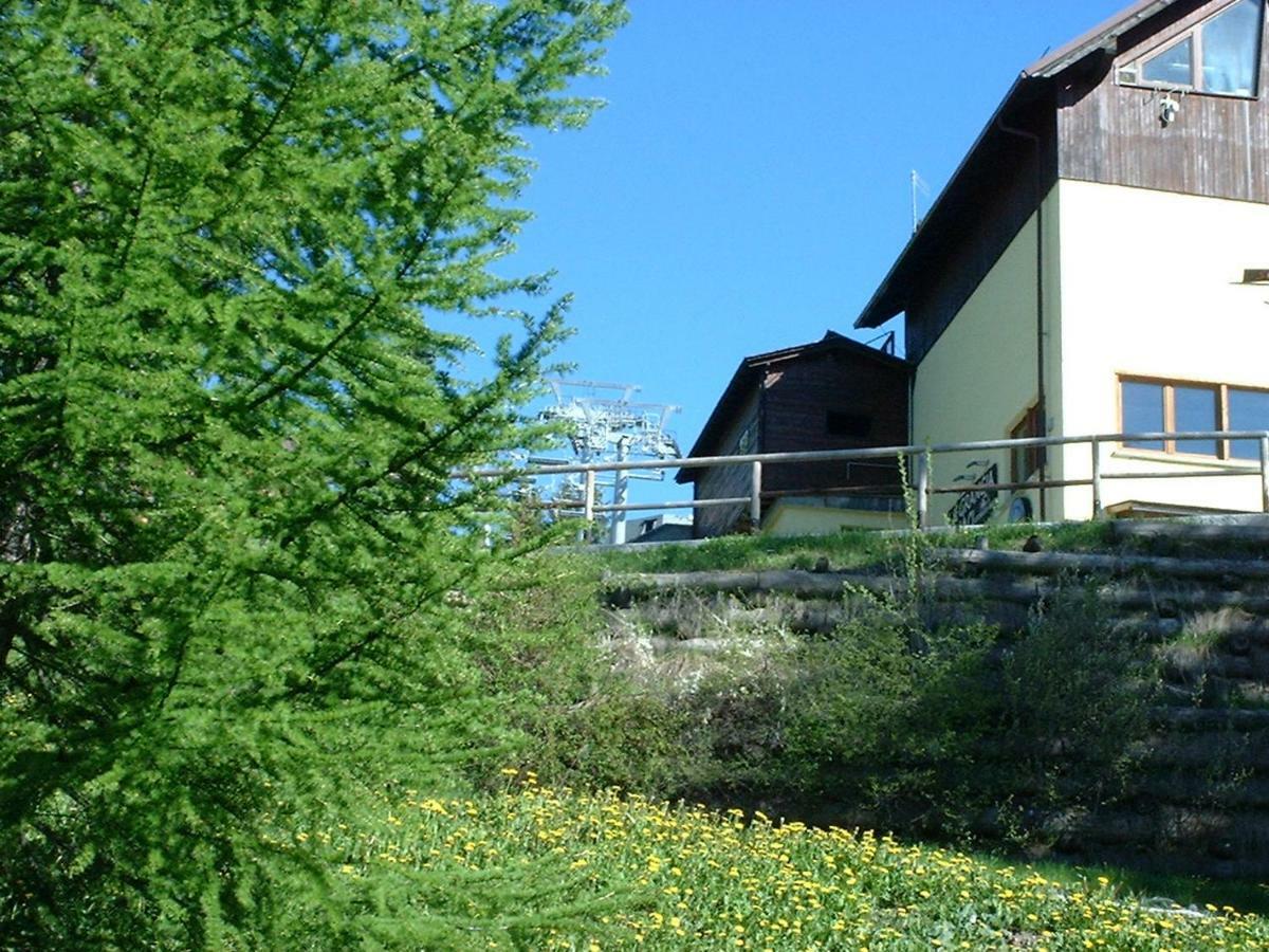 Il Capriolo